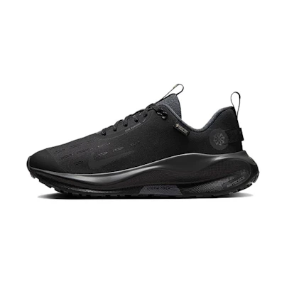 (W) Nike ReactX Infinity Run 4 GORE-TEX 'Black Anthracite'