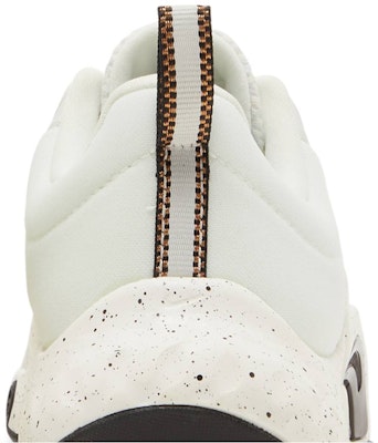 (W) Nike Renew In-Season TR 11 'Sail Metallic Copper Coin' Zapatillas Entrenamiento DA8309-100 Sizing (W) Nike Renew In-Season TR 11 'Sail Metallic Copper Coin' Zapatillas Entrenamiento DA8309-100