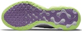Details for (W) Nike Renew Ride 2 'Putih Summit Lilac' CU3508-100