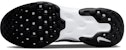 (W) Nike Renew Ride 3 'Hitam Putih' DC8184-001