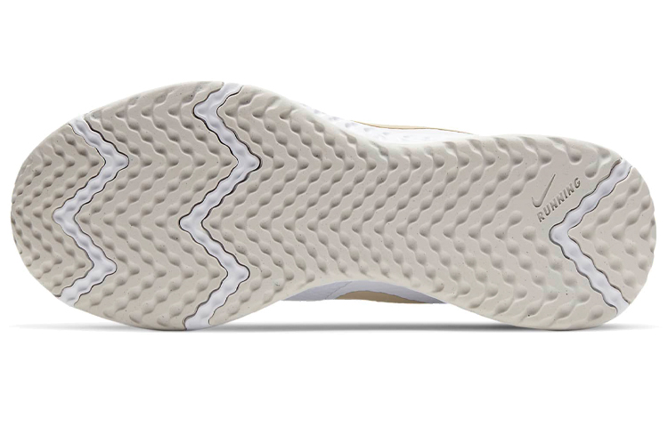 Details for (W) Nike Revolution 5 Oro ''Bianco'' BQ3207-108