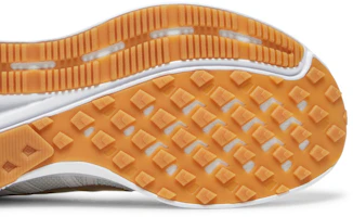 Details for (Women) Nike Run Swift 2 'Platinum Metallic Gold' CU3528-010