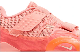 Order (W) Nike SuperRep Cycle 2 Next Nature 'Crimson Bliss' Sepatu Olahraga DH3395-600