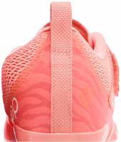 Sizing (W) Nike SuperRep Cycle 2 Next Nature 'Crimson Bliss' Sepatu Olahraga DH3395-600