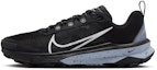Buy (W) Nike Terra Kiger 9 'Hitam Perak Reflektif' DR2694-001