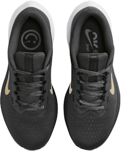 (W) 耐克Winflo 10“烟灰金” DV4023-005 Shop (W) 耐克Winflo 10“烟灰金” DV4023-005