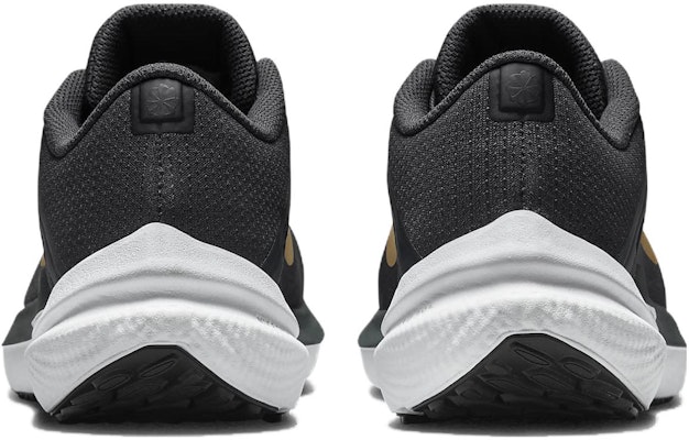 (Women) Nike Winflo 10 'Anthracite Gold' DV4023-005 Purchase (Women) Nike Winflo 10 'Anthracite Gold' DV4023-005