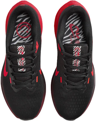 (W) Nike Winflo 10 ''Schwarz Helles Krepprot'' DV4023-004 Shop (W) Nike Winflo 10 ''Schwarz Helles Krepprot'' DV4023-004