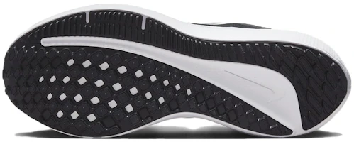 Sizing (女款) Nike Winflo 10 '黑白' DV4023-003
