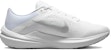 (W) Nike Winflo 10 'Putih Perak Metallic' DV4023-102