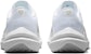 (W) Nike Winflo 10 'Putih Perak Metallic' DV4023-102