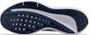 (W) Nike Winflo 10 Premium 'Lukisan Bunga Air' FB6940-600