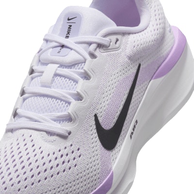 (Women) Nike Winflo 11 FJ9510-106 1
