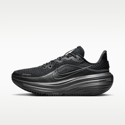 (Women) Nike Winflo 12 Black/Dark Smoke Gray/Black HV9273-001