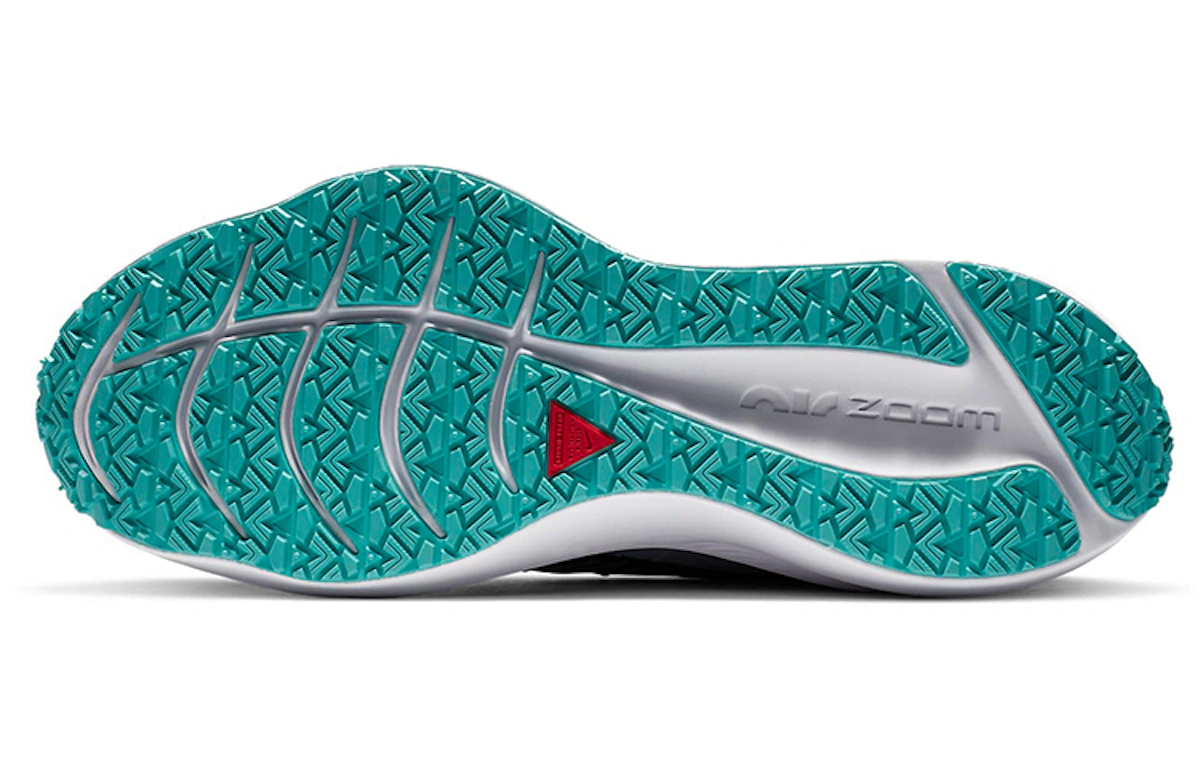 (Women) Nike Winflo 7 Shield 'Obsidian Mist' CU3868-403