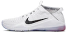 Buy (W) Nike Zoom Fearless FK 2 AMP Sepatu Olahraga Wanita CI7016-109
