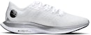 (W) Nike Zoom Pegasus Turbo 2 Rise 'Putih Perak Metalik' CQ5410-171