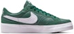 (W) Nike Zoom Pogo Plus Premium SB 'Gorge Green' Hijau Gelap DQ5127-300