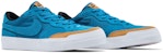(W) Nike Zoom Pogo Plus Premium SB 'Green Abyss' Hijau DX6915-300