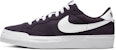 (W) Nike Zoom Pogo Plus SB 'Ungu Gua' DR9114-500