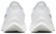 (W) Nike Zoom Winflo 6 'Putih' AQ8228-100