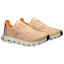 Lookbook (Women) On Cloud 6 Coast 'Blonde Mauve' 3WF10023023