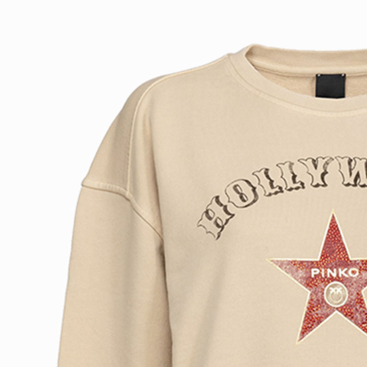 Details for (W) PINKO 米色字母星星圆领休闲长袖卫衣 100352A0L6*C28