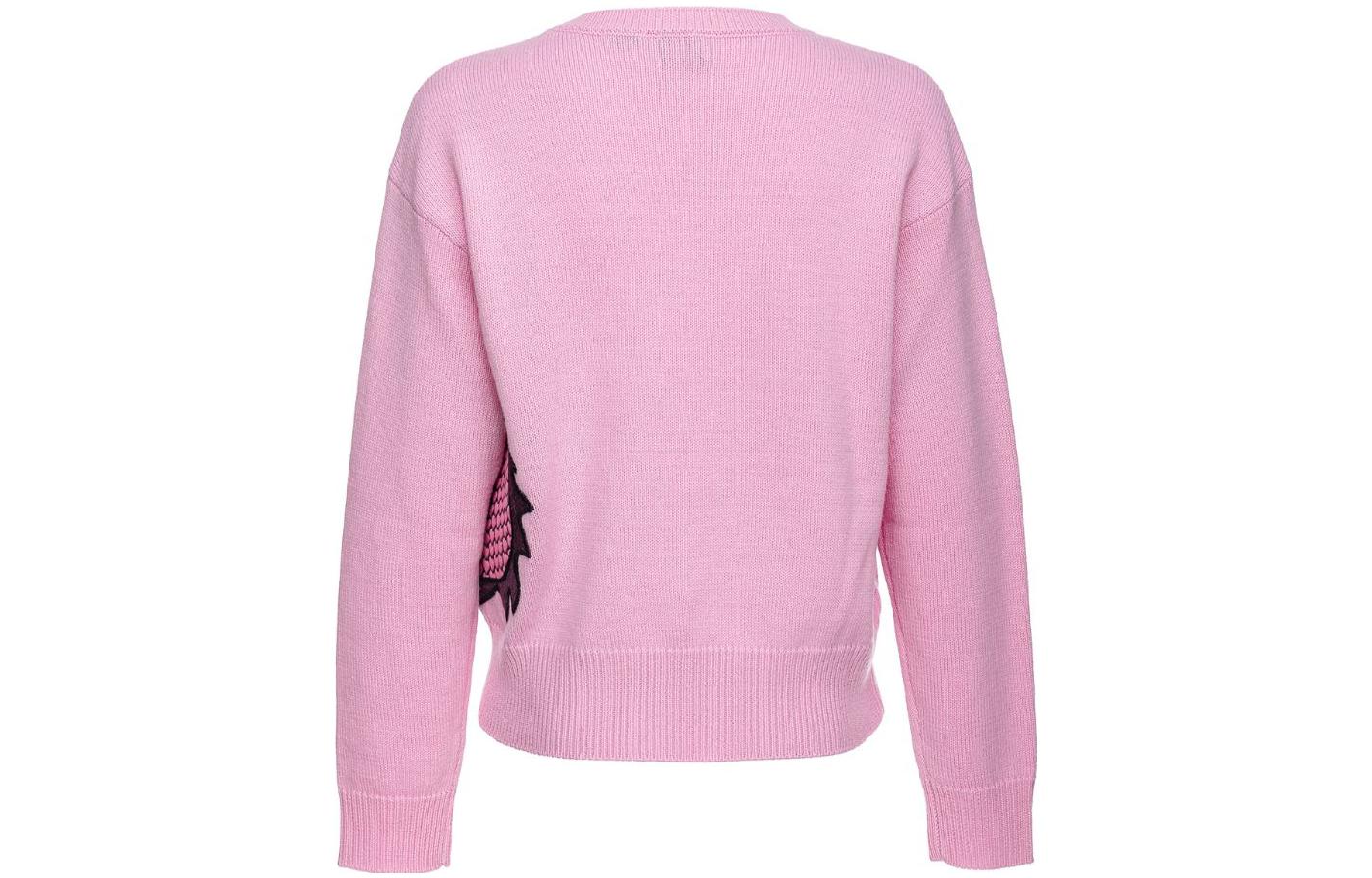 Lookbook (W) PINKO 粉紅龍刺繡毛衣. 102875A1LM-N78