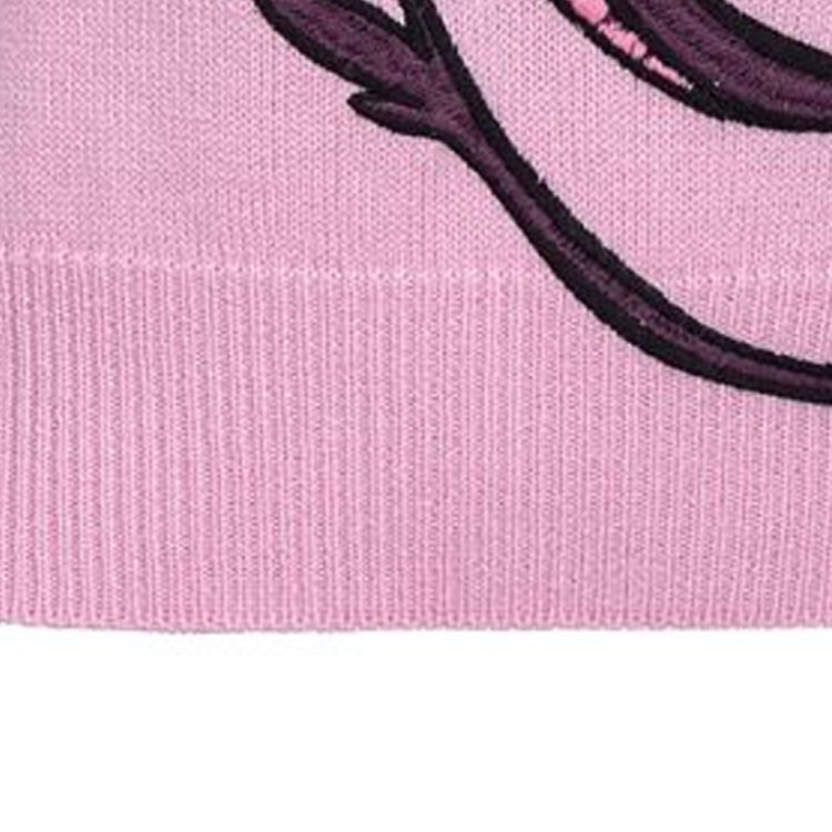 Details for (W) PINKO 粉紅龍刺繡毛衣. 102875A1LM-N78