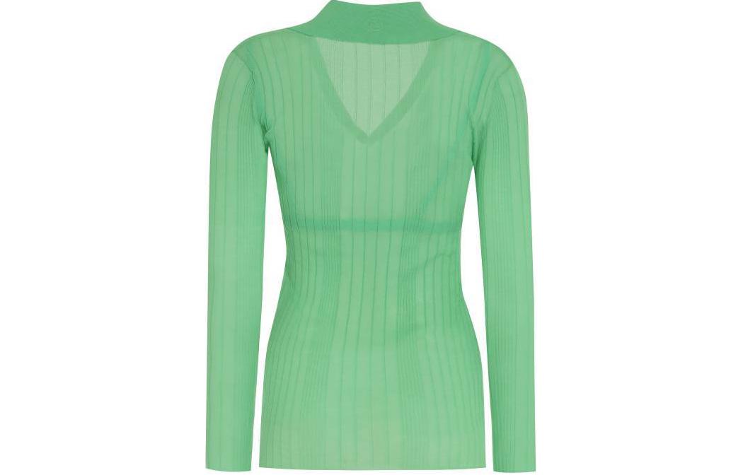 Lookbook (W) PINKO 绿色透视V领长袖罗纹毛衣. 102980A1ND-SSA