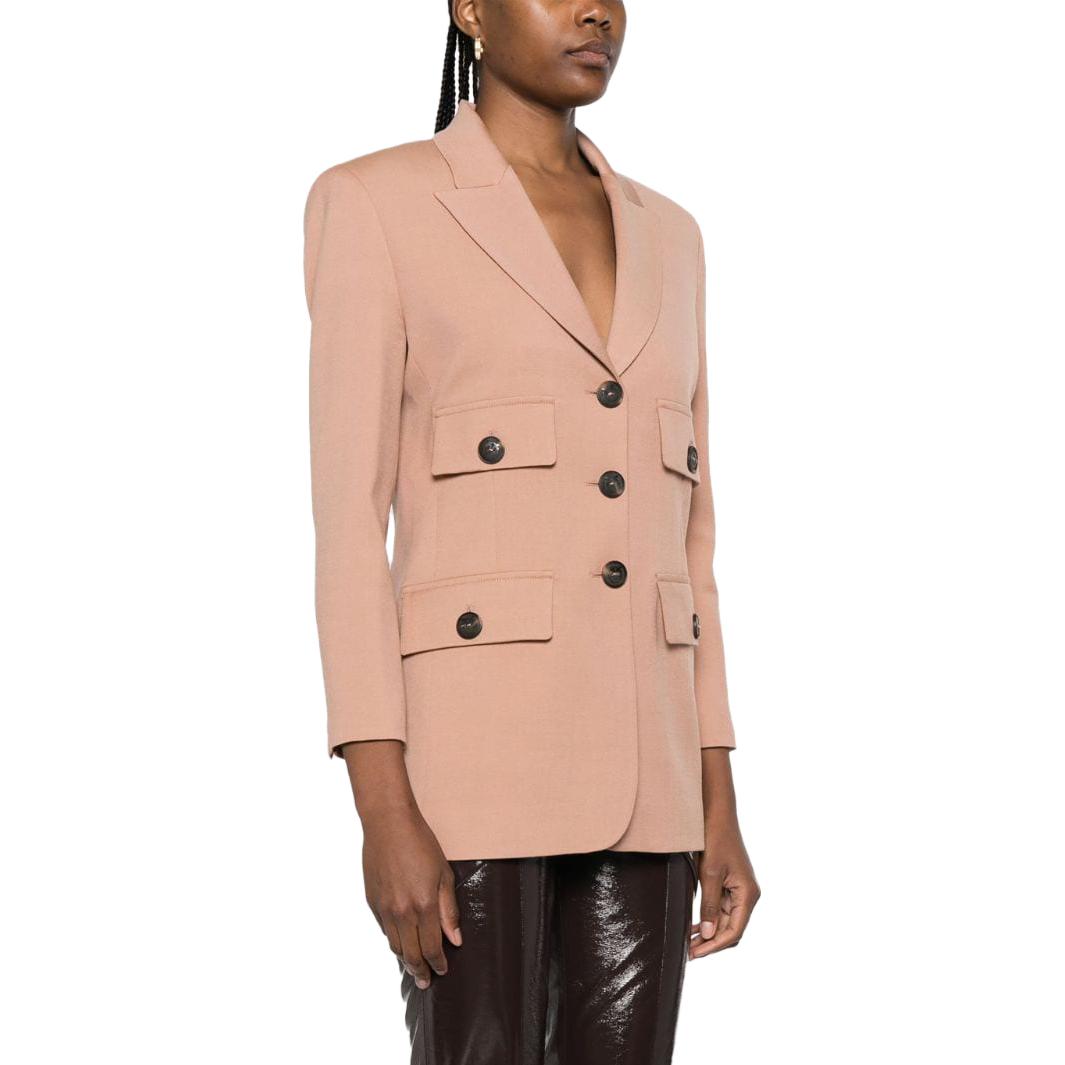 Purchase (W) PINKO 素色長袖西裝外套 - 粉色 102231A1B3-N33