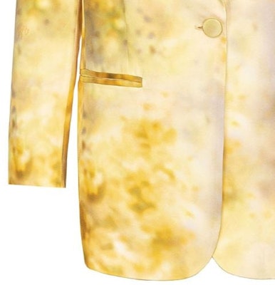 (W) PINKO FW23 黃色漸變印花單扣休閒西裝外套 女款 102858A1K9-HS4 Details for (W) PINKO FW23 黃色漸變印花單扣休閒西裝外套 女款 102858A1K9-HS4