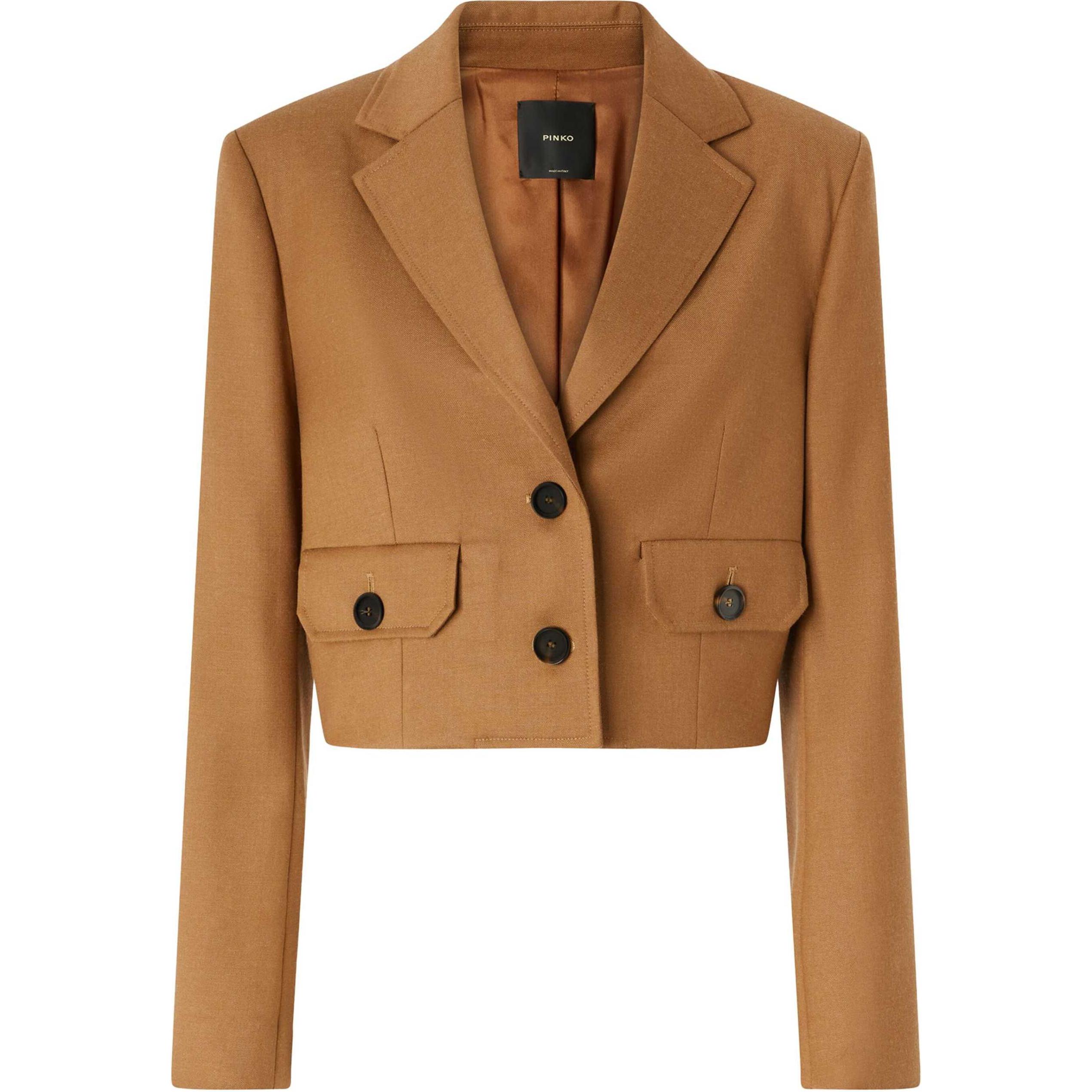 (Women) PINKO FW24  Brown Solid Single-Breasted Short Jacket. 104337A1B3