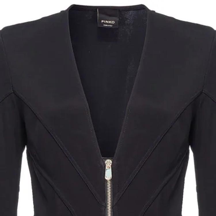 Shop (W) PINKO SS24 黑色拉链V领长袖休闲迷你连衣裙. 103033A04I-Z99