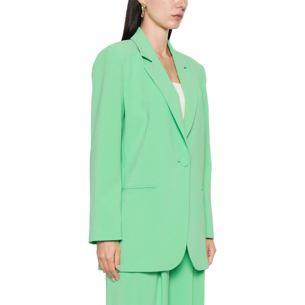 Purchase (W) PINKO SS24 綠色單扣寬版西裝外套 102858A1L8-T38