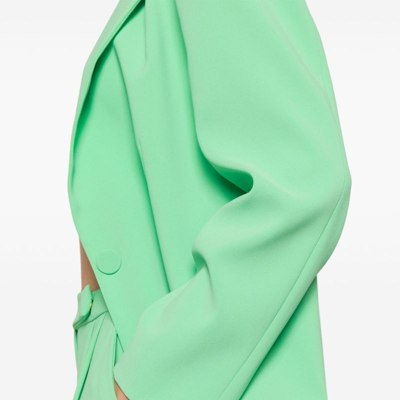 Details for (W) PINKO SS24 綠色單扣寬版西裝外套 102858A1L8-T38