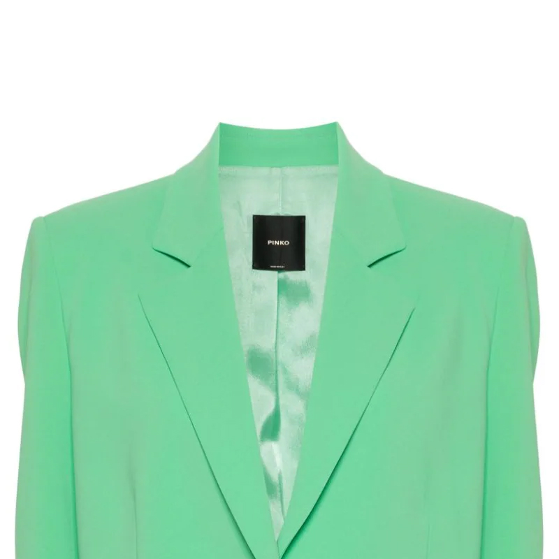 Sizing (W) PINKO SS24 綠色單扣寬版西裝外套 102858A1L8-T38