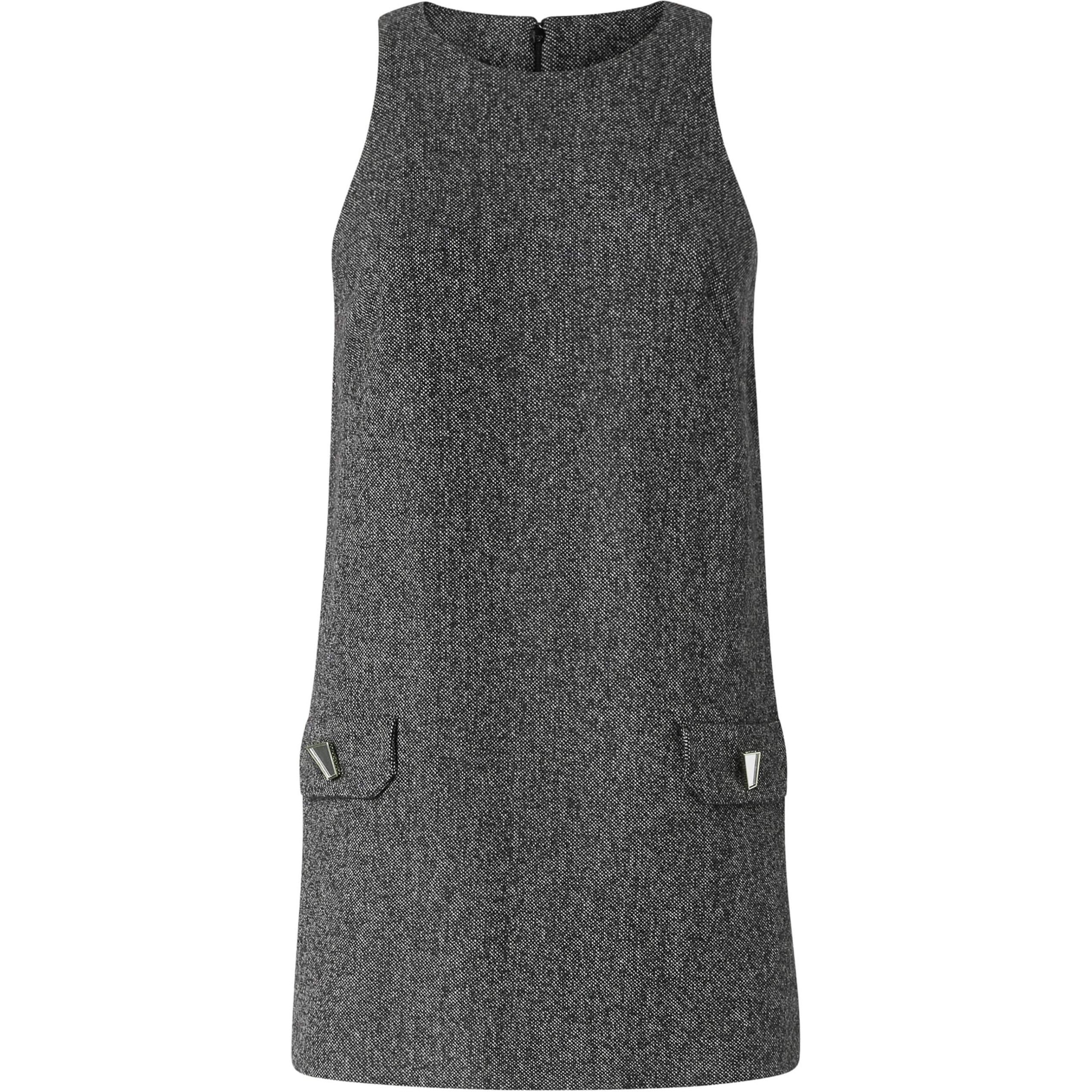 (Women) PINKO SS24  Sleeveless Solid Color Dress with Back Zipper in Dark Grey. 104422A274