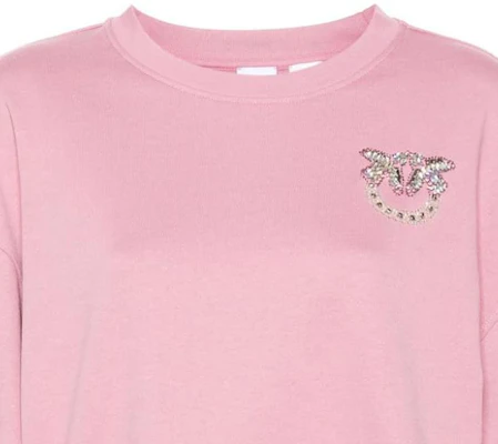 (W) Pinko SS24 粉色燈籠袖女款衛衣附Logo裝飾 102827A1R8-N98 Details for (W) Pinko SS24 粉色燈籠袖女款衛衣附Logo裝飾 102827A1R8-N98