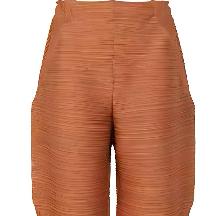 Lookbook (W) PLEATS PLEASE ISSEY MIYAKE Seluar Pleated Coklat Pekat Tirus. PP28JF392-44