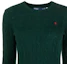 Details for (W) Polo Ralph Lauren Sweater Crewneck Hijau Lengan Panjang Knit Solid. 211910421-010