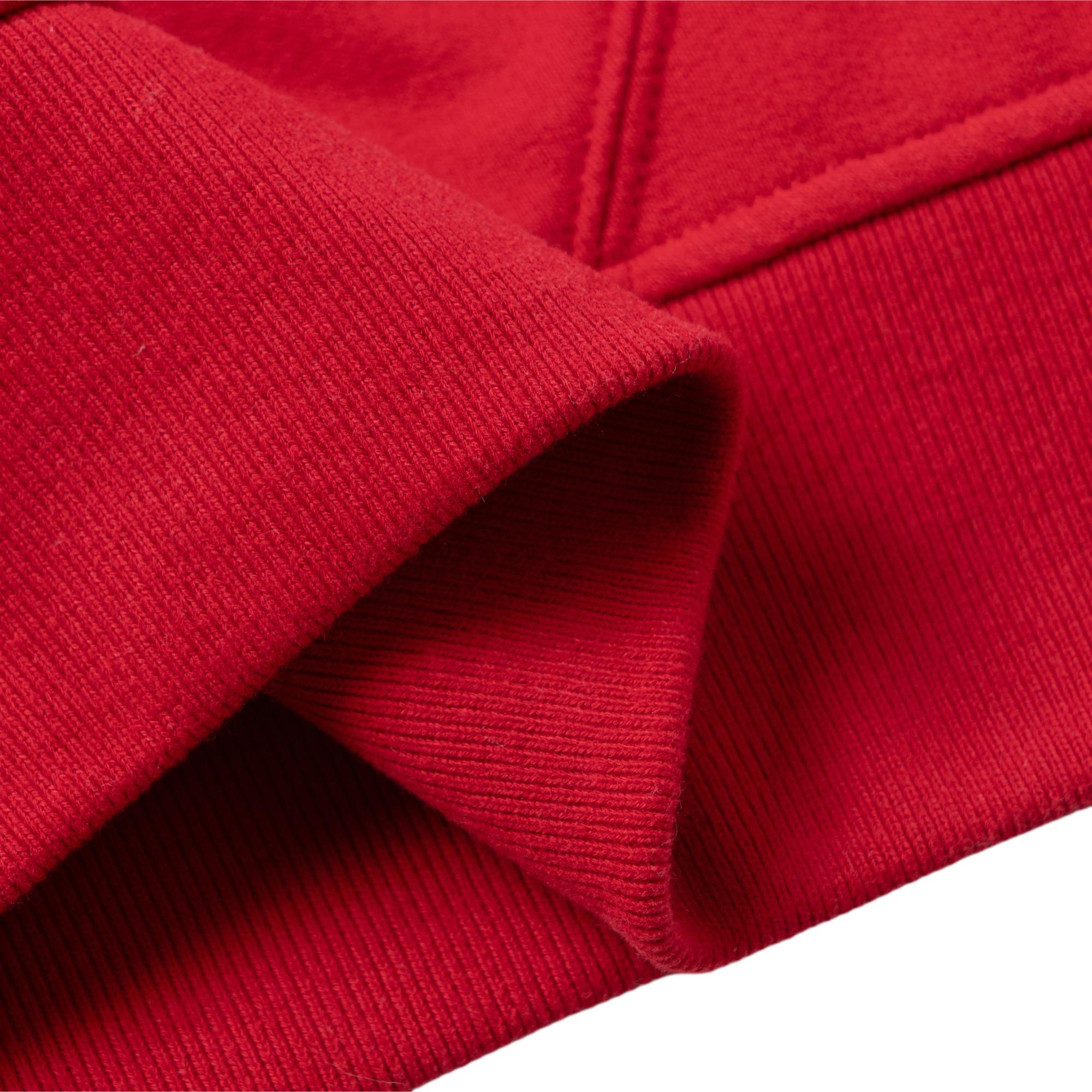 Shop (W) Polo Ralph Lauren 2023秋冬红色连帽衫刺绣马标款 211817657-006