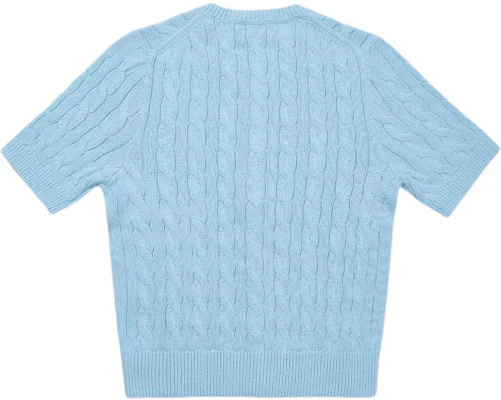 (Women) Polo Ralph Lauren FW25 Petite Pony Embroidered Knit Short Sleeve Top Women. WMPOSWENDW20446-400 Lookbook (Women) Polo Ralph Lauren FW25 Petite Pony Embroidered Knit Short Sleeve Top Women. WMPOSWENDW20446-400