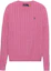 Buy (W) Polo Ralph Lauren SS22 刺繡實心針織毛衣羊毛衫 211570012-077