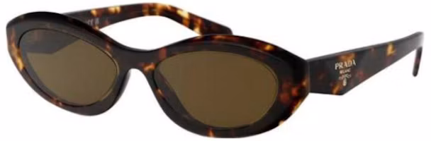 (Women) PRADA Cat-Eye Acetate Tortoiseshell Sunglasses with Side Logo. 0PR26ZS14L09Z (Women) PRADA Cat-Eye Acetate Tortoiseshell Sunglasses with Side Logo. 0PR26ZS14L09Z