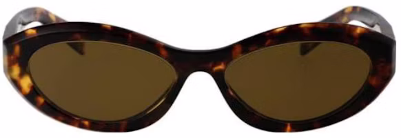 Lookbook (Women) PRADA Cat-Eye Acetate Tortoiseshell Sunglasses with Side Logo. 0PR26ZS14L09Z
