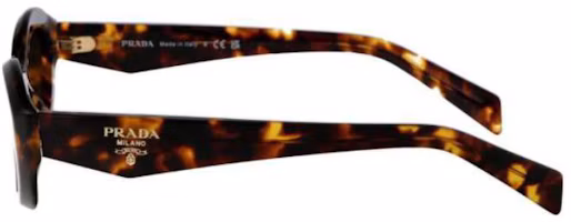 Shop (Women) PRADA Cat-Eye Acetate Tortoiseshell Sunglasses with Side Logo. 0PR26ZS14L09Z