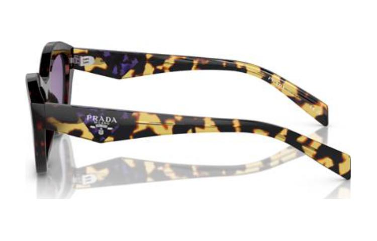 (Women) PRADA Logo Design Cat Eye Acetate  Sunglasses Tortoiseshell PRA02S17N50B 圖 4