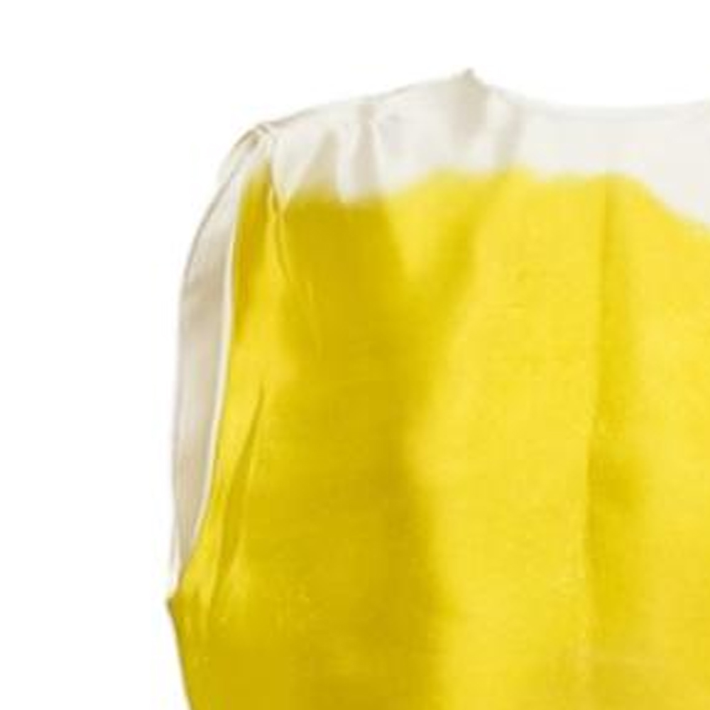 Purchase (W) PRADA SS23 Lime Green Baju Tanpa Lengan Colorblock Anti Matahari. P933L-125C-F0322-S-231