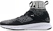 Buy (W) Puma Ignite evoKNIT 'Kelabu' 189766-01